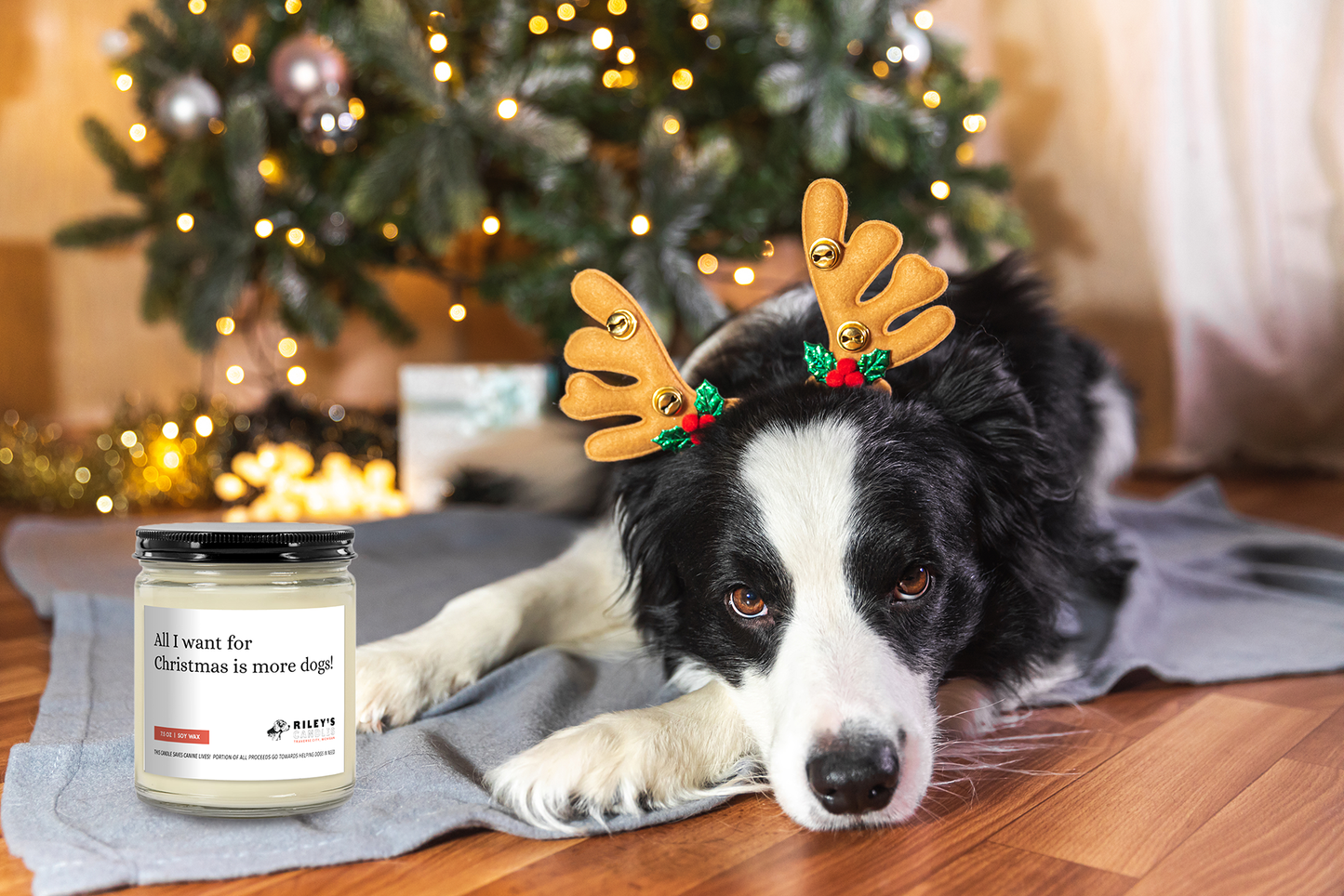 "All I Want For Christmas Is More Dogs!" Festive Phrases 7.5oz Soy Wax Candle